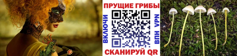 Галлюциногенные грибы MAGIC MUSHROOMS  Североморск 